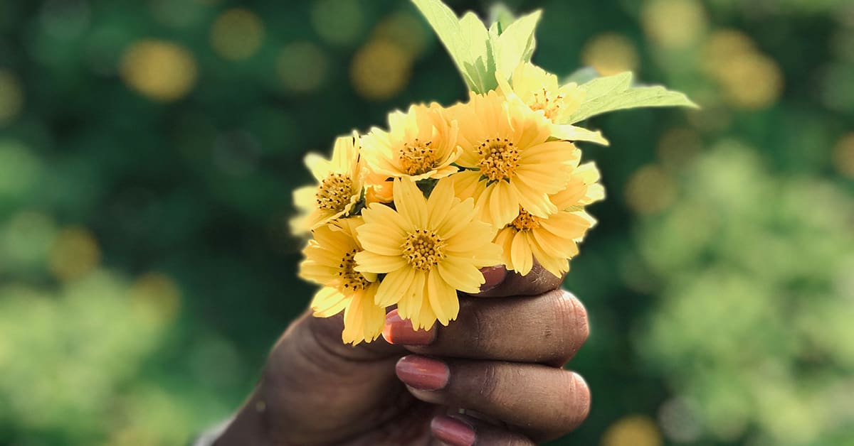 Sharing and caring flowers